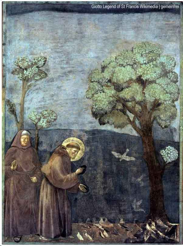 Giotto_Legende St.Franziskus_Wikimedia