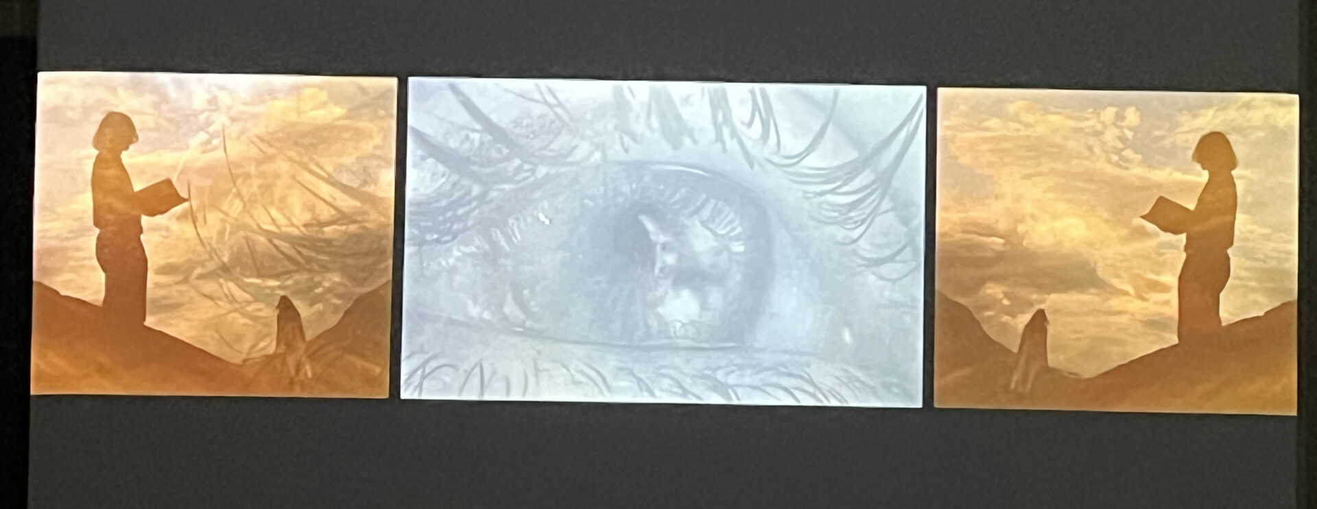 Faust Sonnengesang Triptychon 07.11.25©Elisabeth Rieger